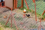 Faller FA180264 Chickens Mini sound effect