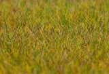 Faller 180484 PREMIUM ground cover fibres Meadow light green 6 mm 30 g