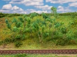 Faller 181409 Trees and shrubs for the edge of the forest