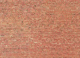 Faller 222559 Wall card Tunnel