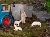 Pola 331913 Shepherd and Sheep