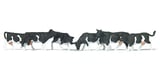 Preiser 79228 Cows Blacks And White